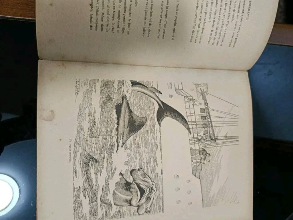 كتاب قديم 30cm/20cm