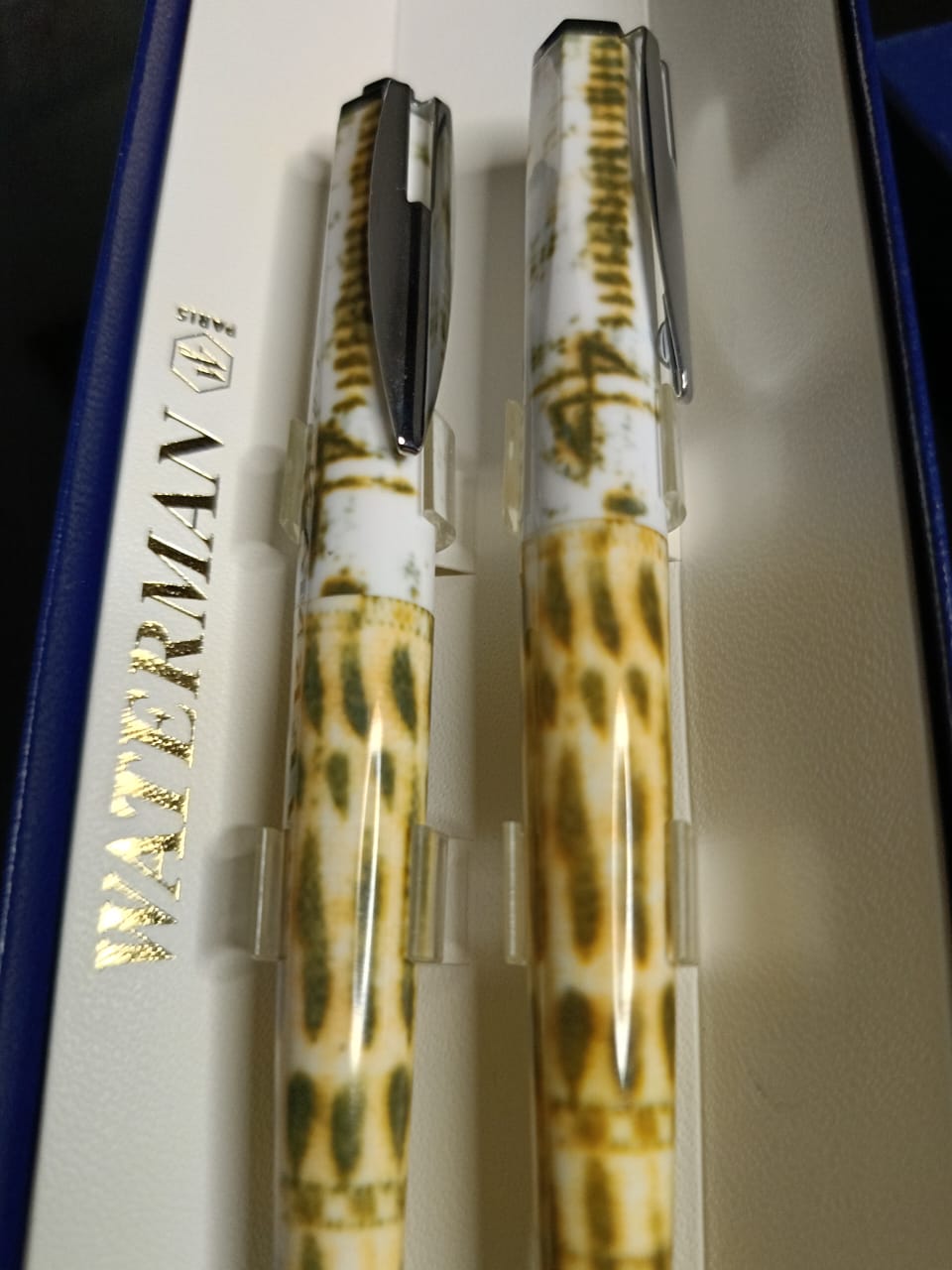 Stylo Waterman