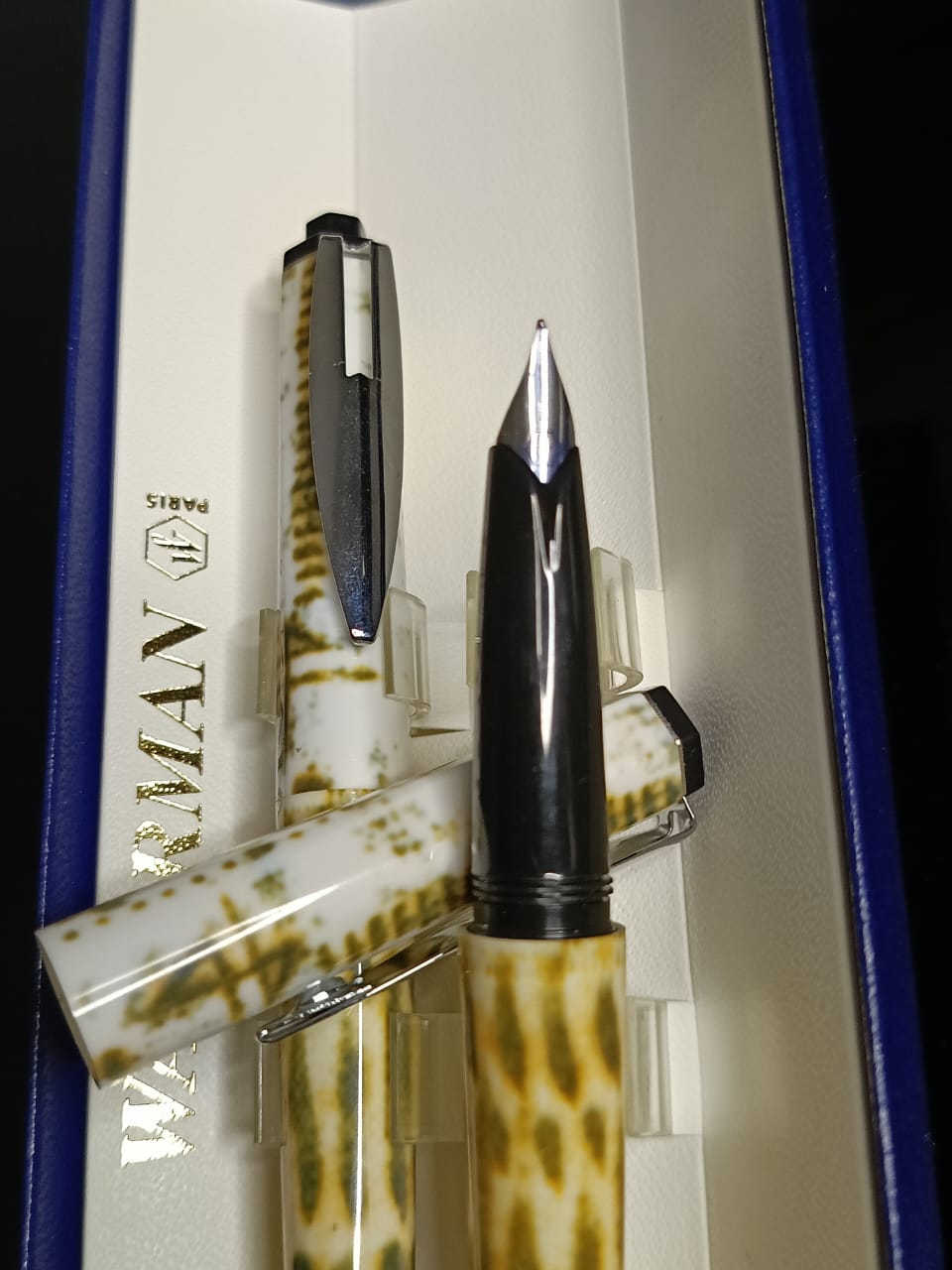Stylo Waterman
