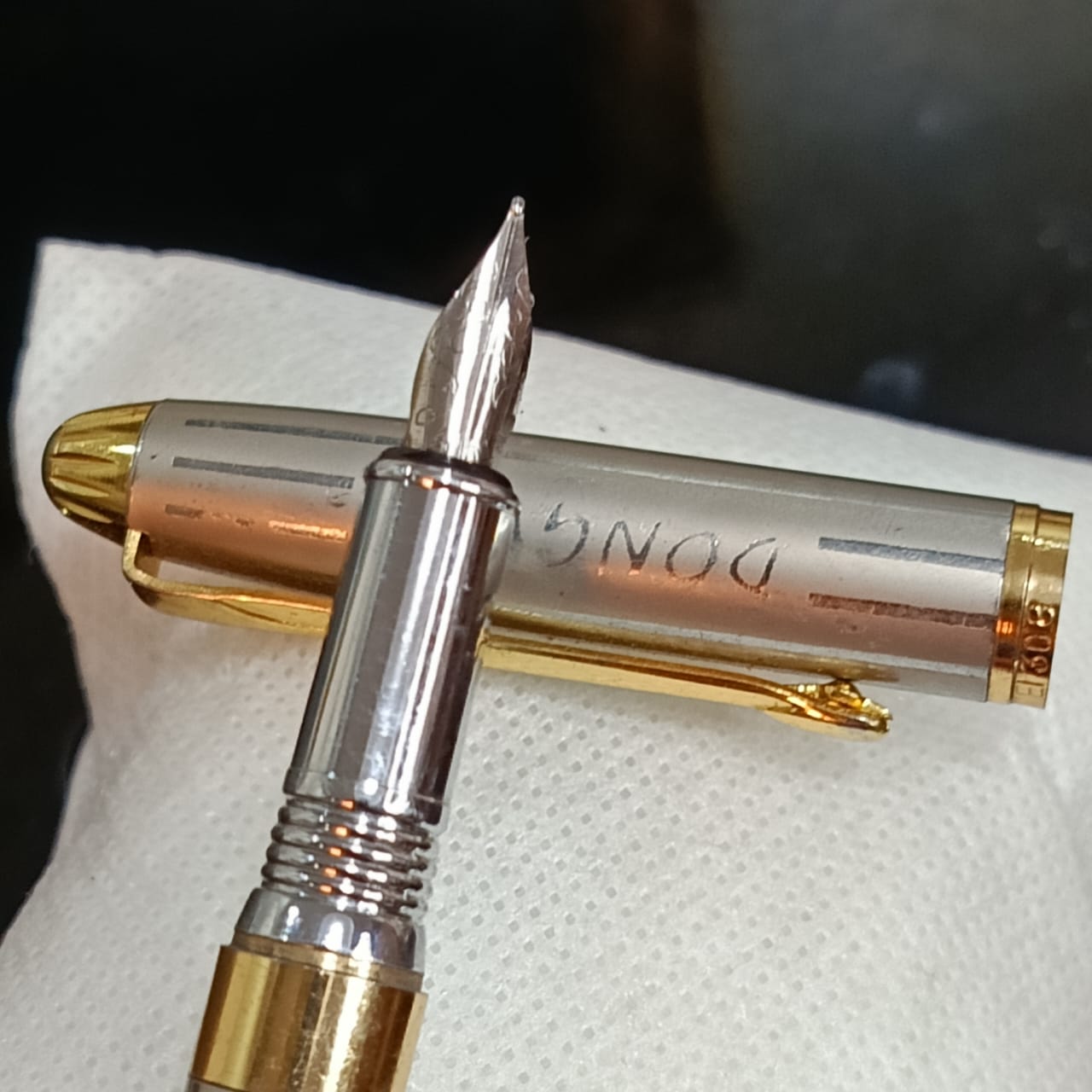 Stylo plume