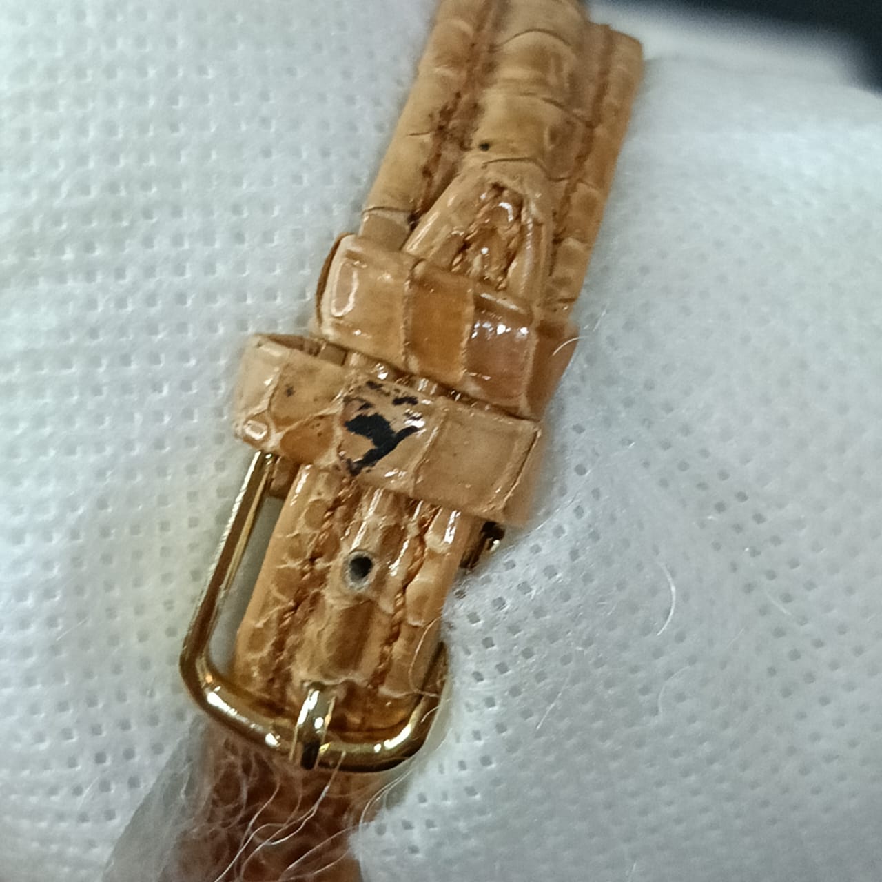 Montre escottFemme original Quartz
