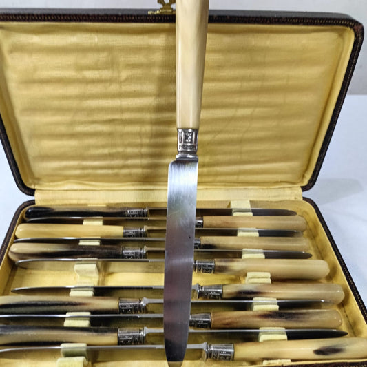 Coffret argenté antique vintage 12 pièce عاج وفضة