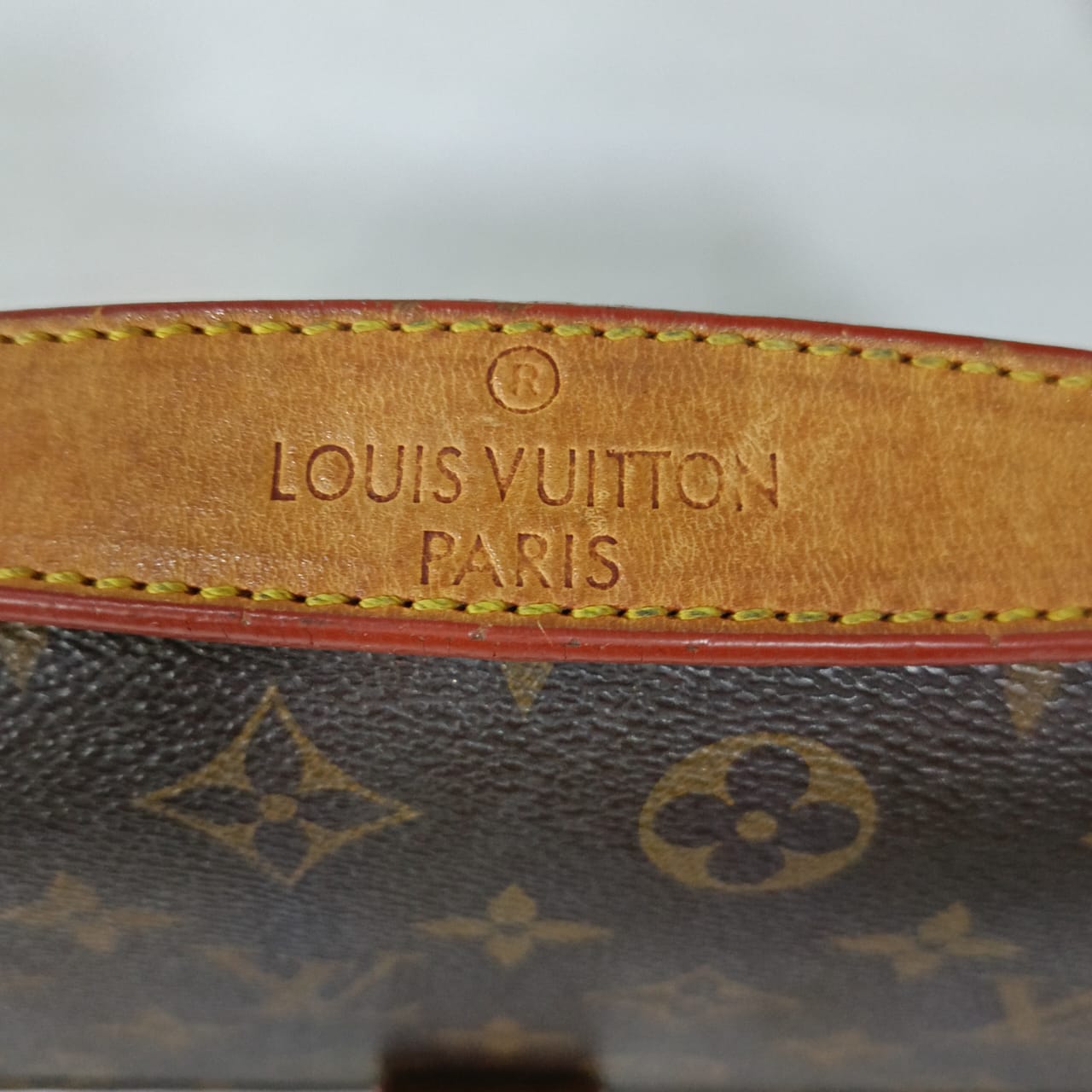 Sac louis Vuitton paris original