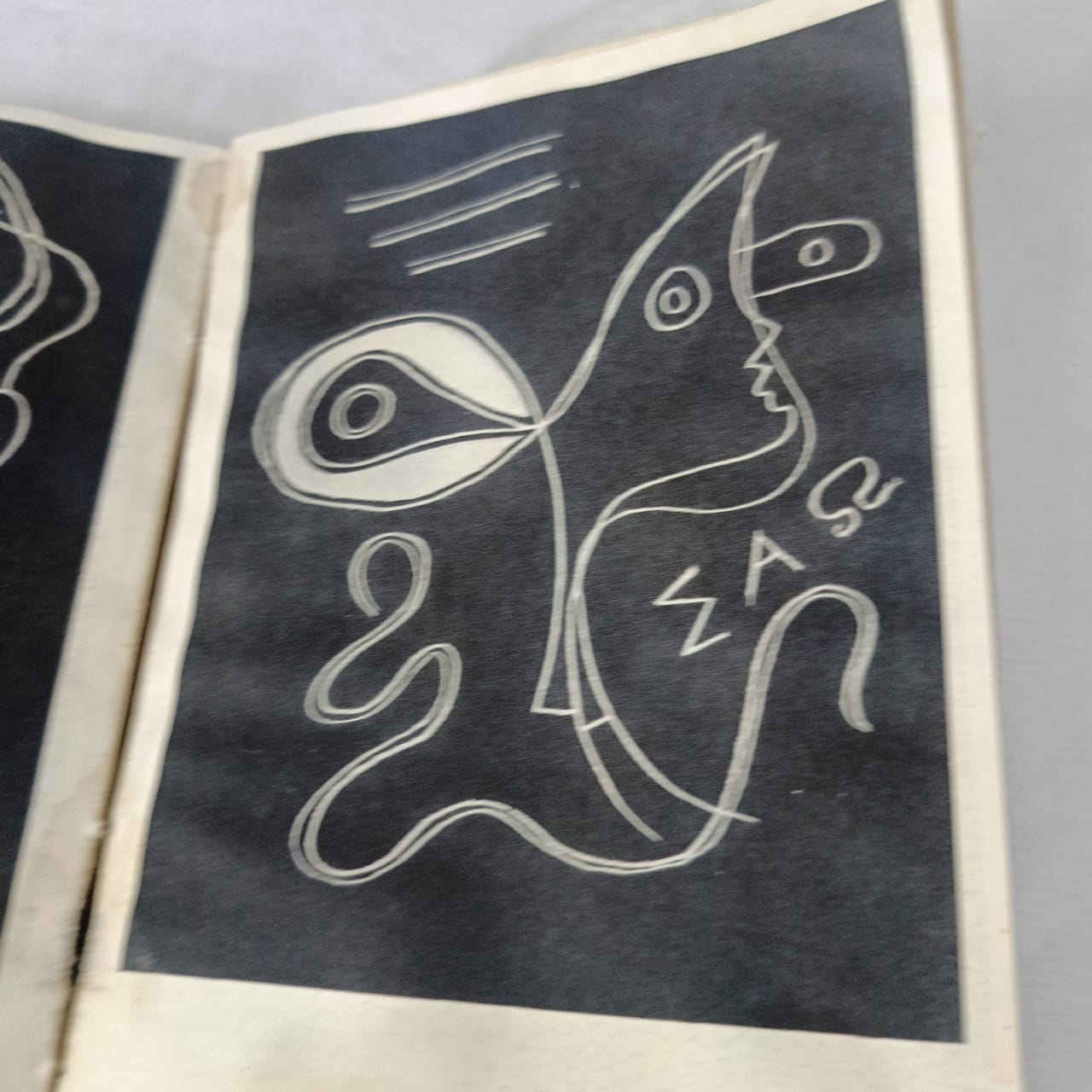 Livre sur peintre braque "collection des maîtres"