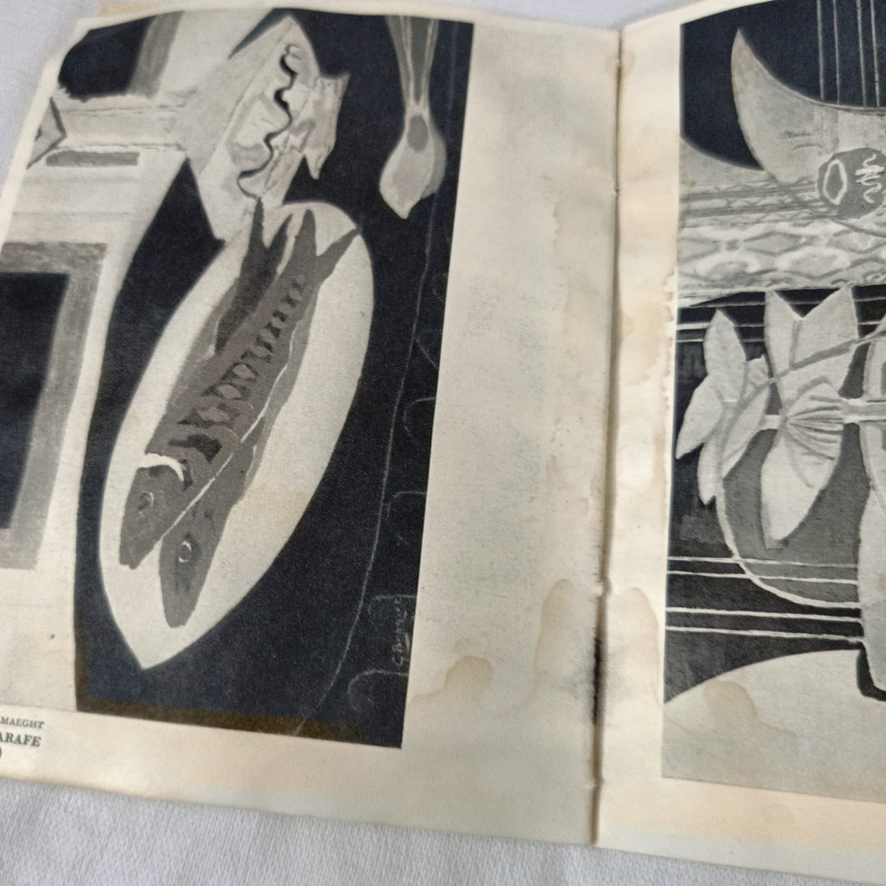 Livre sur peintre braque "collection des maîtres"