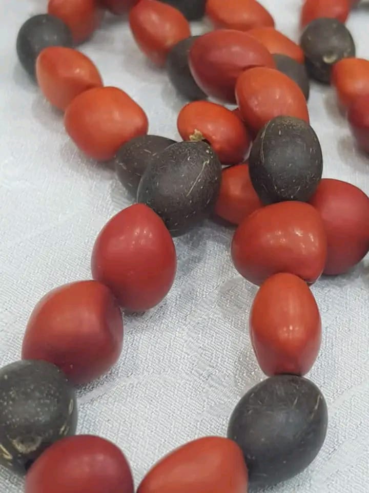 عقد من بذور نادرة طوله مغلق 50cm