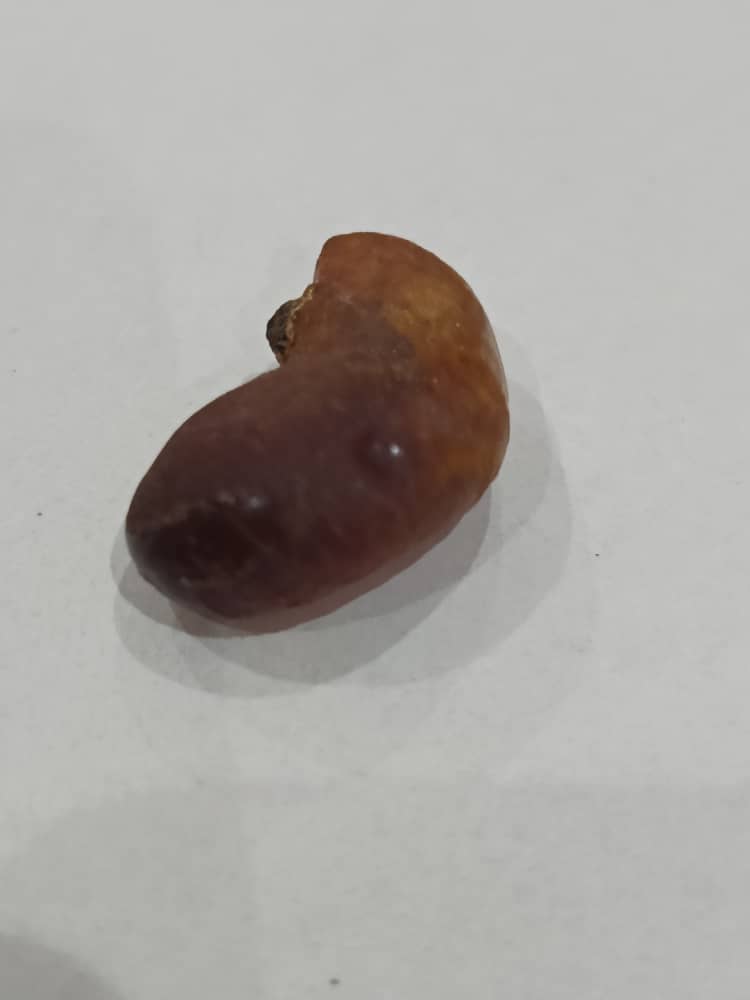 قطعة كهرمان طبيعي