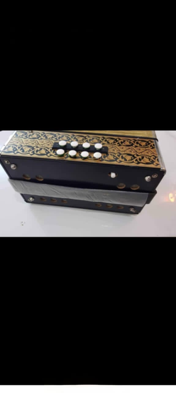Accordion hohner rare original