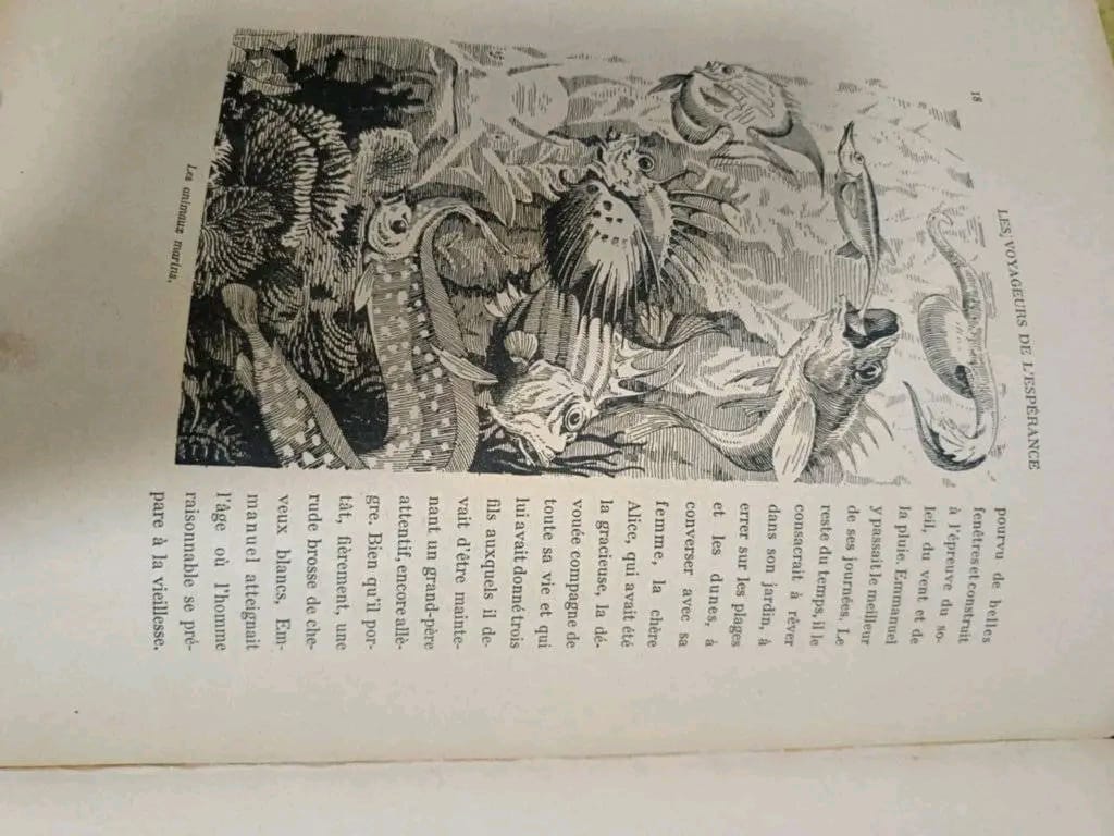 كتاب قديم  30cm/20cm