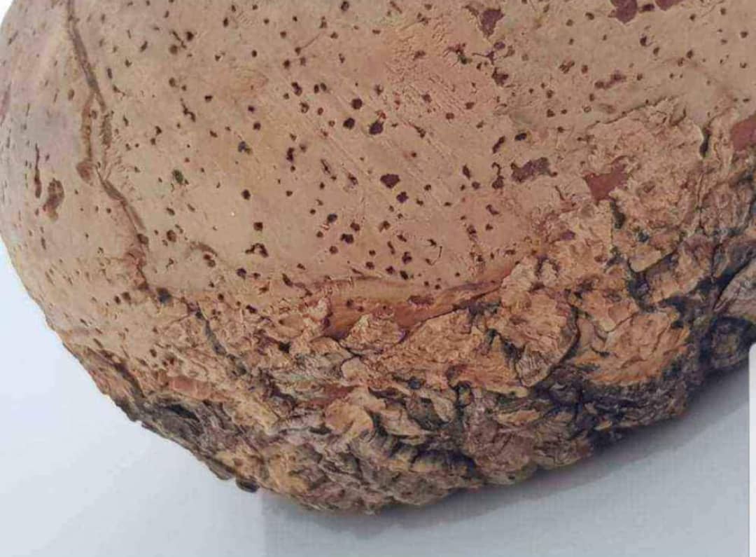 فازة تحفة 26cm