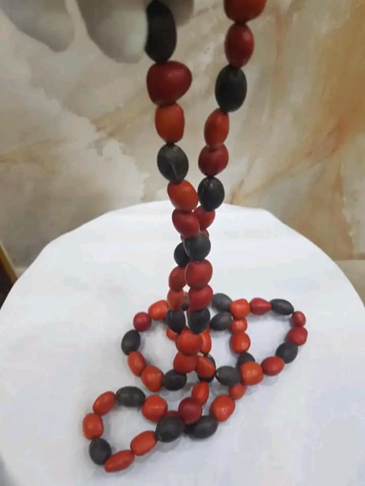 عقد من بذور نادرة طوله مغلق 50cm