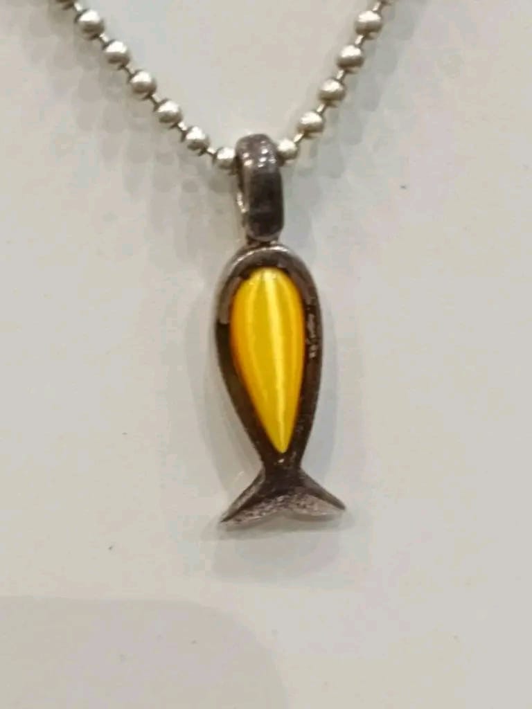 سلسلة فضة وحجر عين الهر طولها 22cm