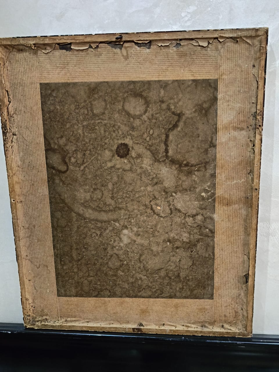 Dessin original signé sur papier 
35cm/20cm