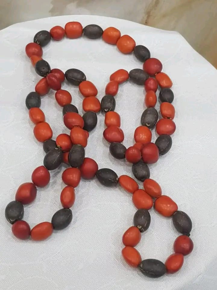 عقد من بذور نادرة طوله مغلق 50cm